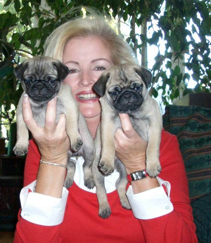 pet sitter with pugs, dog walker, carlsbad ca